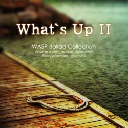 Down In A Hole : What's Up? II: WASP Ballad Collection